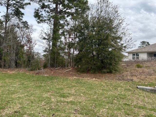 7173 SW 179th Court Road Dunnellon FL 34432 OM688857 image9