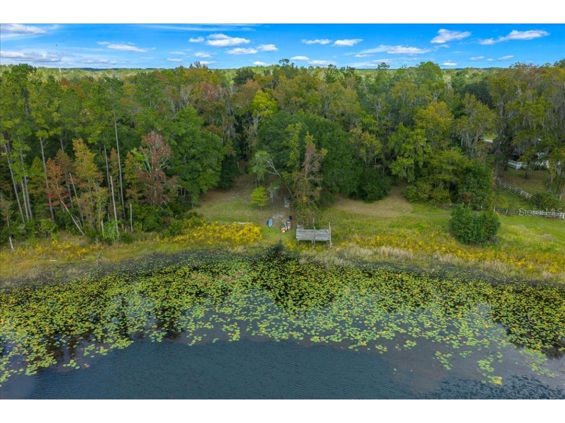 7173 W R Thomas Road Keystone Heights FL 32656 - Hall Lake OM713758 image1