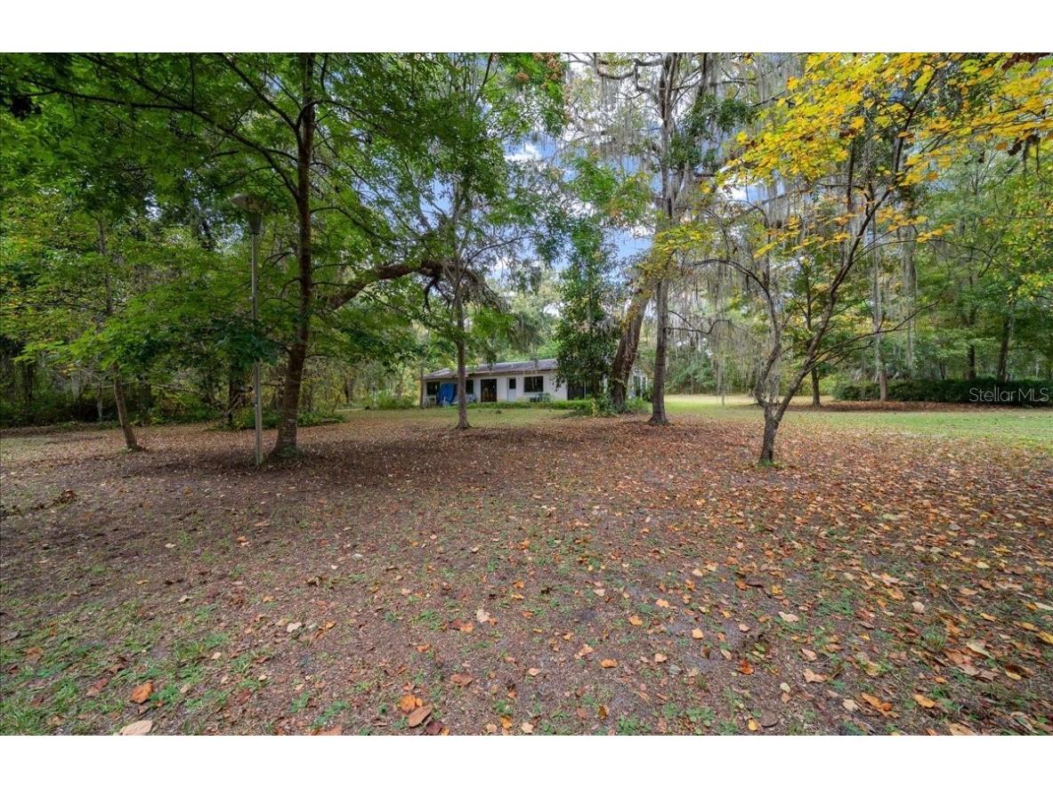 7173 W R Thomas Road Keystone Heights FL 32656 - Hall Lake OM713758 image5