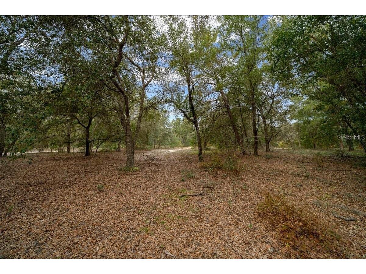 7173 W R Thomas Road Keystone Heights FL 32656 - Hall Lake OM713758 image60