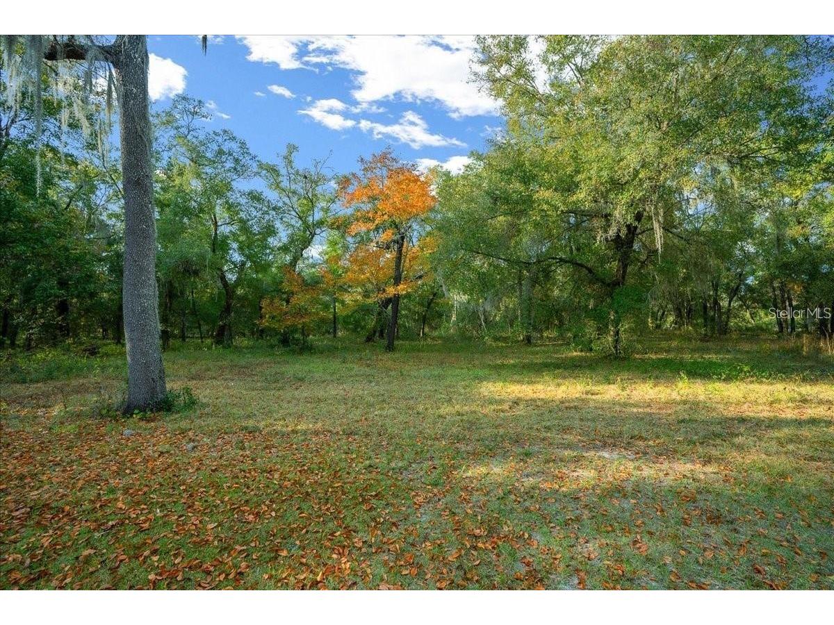 7173 W R Thomas Road Keystone Heights FL 32656 - Hall Lake OM713758 image61