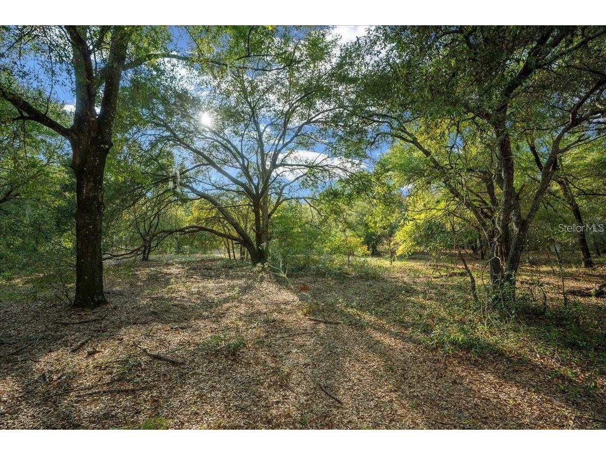 7173 W R Thomas Road Keystone Heights FL 32656 - Hall Lake OM713758 image62