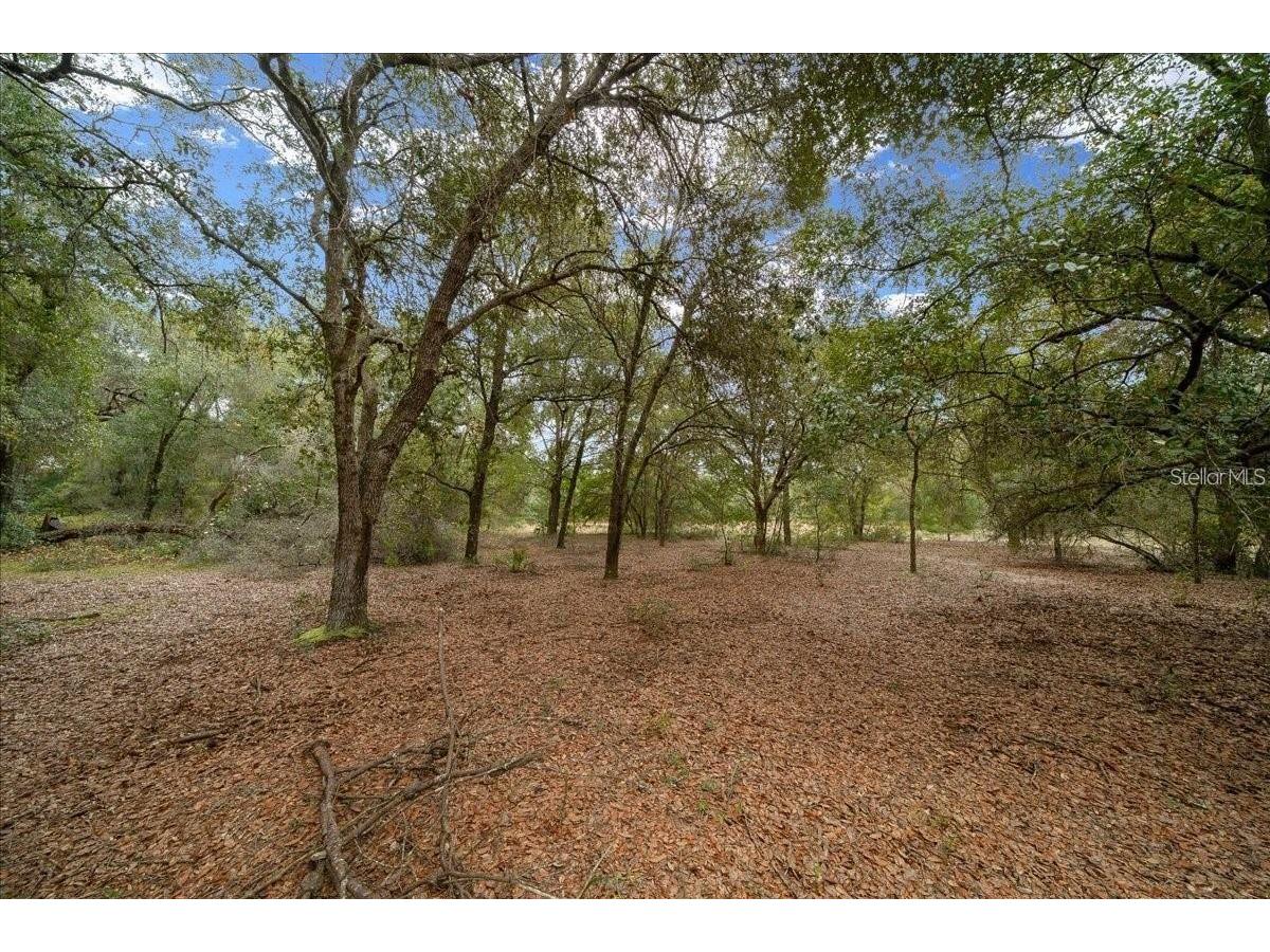 7173 W R Thomas Road Keystone Heights FL 32656 - Hall Lake OM713758 image70