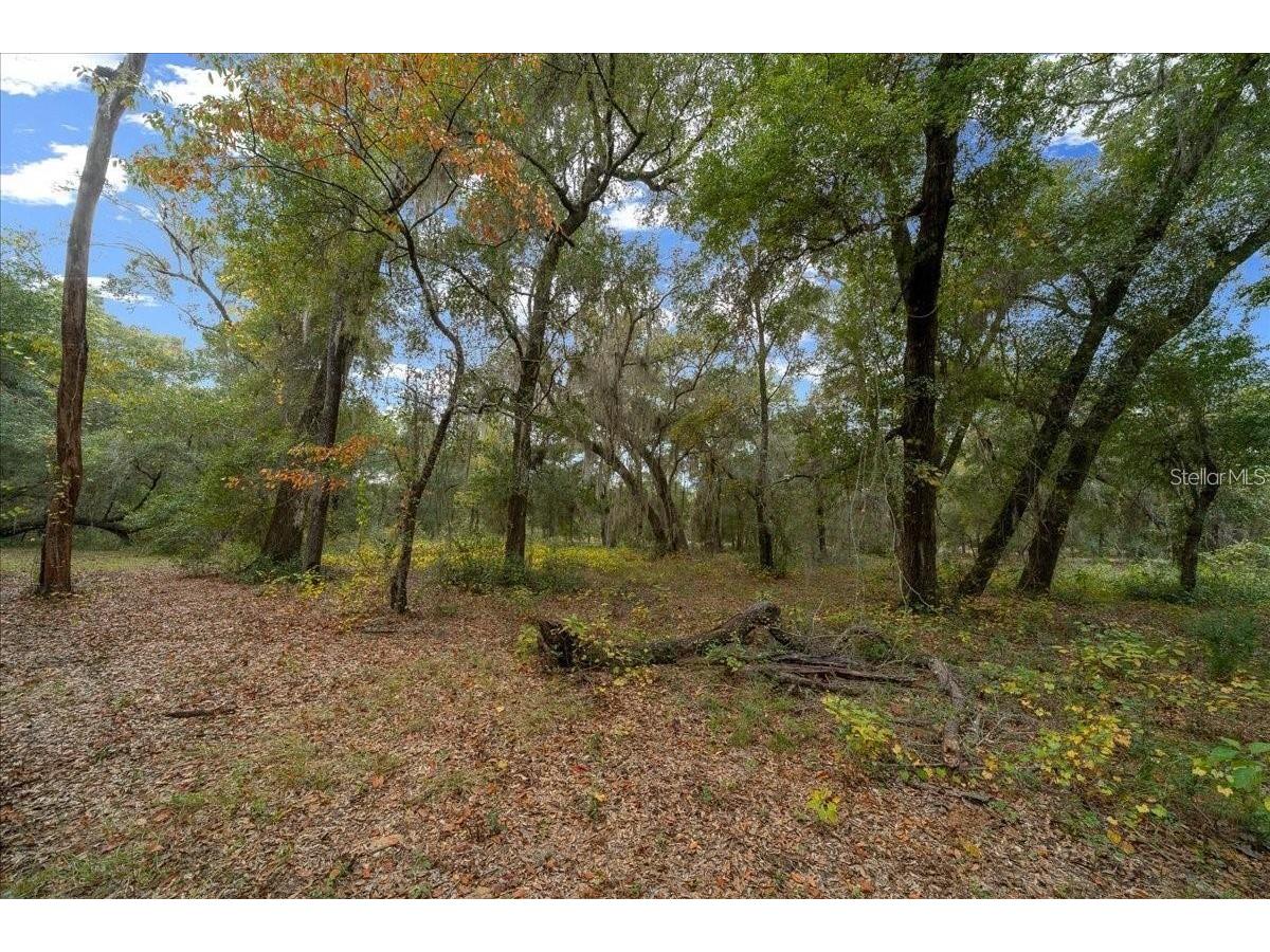 7173 W R Thomas Road Keystone Heights FL 32656 - Hall Lake OM713758 image71