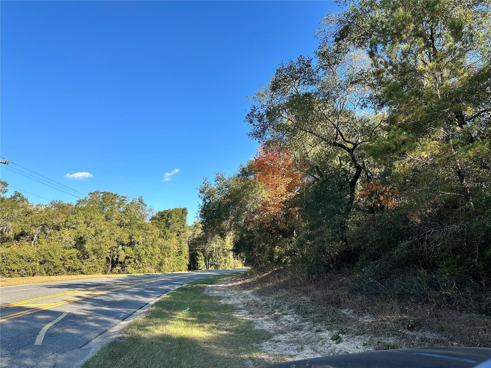 7173 W R Thomas Road Keystone Heights FL 32656 - Hall Lake OM713758 image73