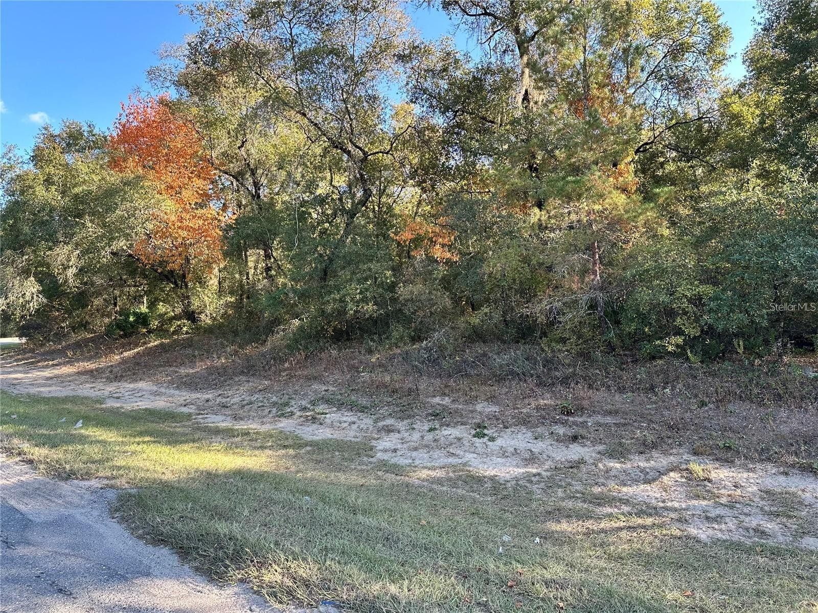 7173 W R Thomas Road Keystone Heights FL 32656 - Hall Lake OM713758 image74