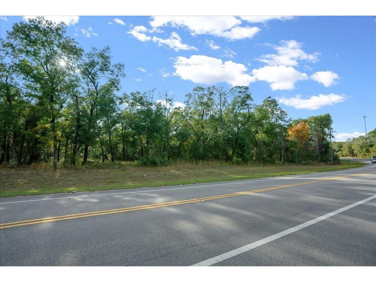 7173 W R Thomas Road Keystone Heights FL 32656 - Hall Lake OM713758 image78