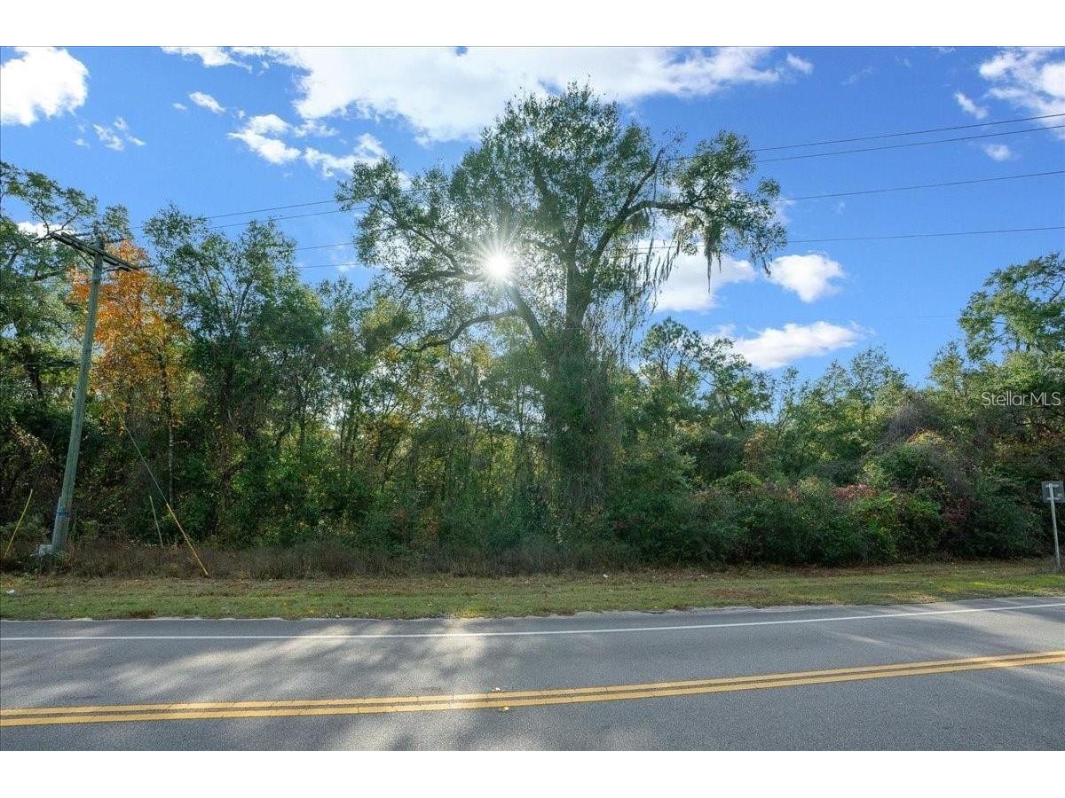 7173 W R Thomas Road Keystone Heights FL 32656 - Hall Lake OM713758 image79