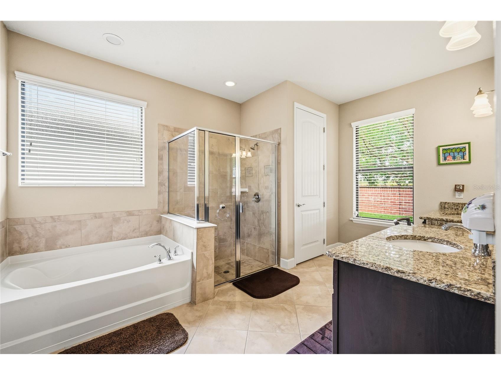 7174 Beek Street Windermere FL 34786 O6402279 image21