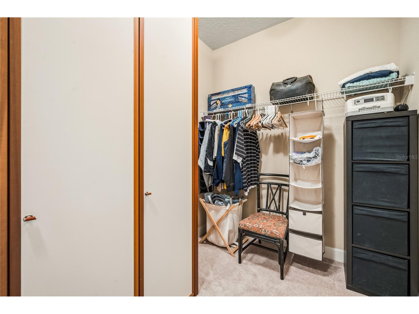 7174 Beek Street Windermere FL 34786 O6402279 image23