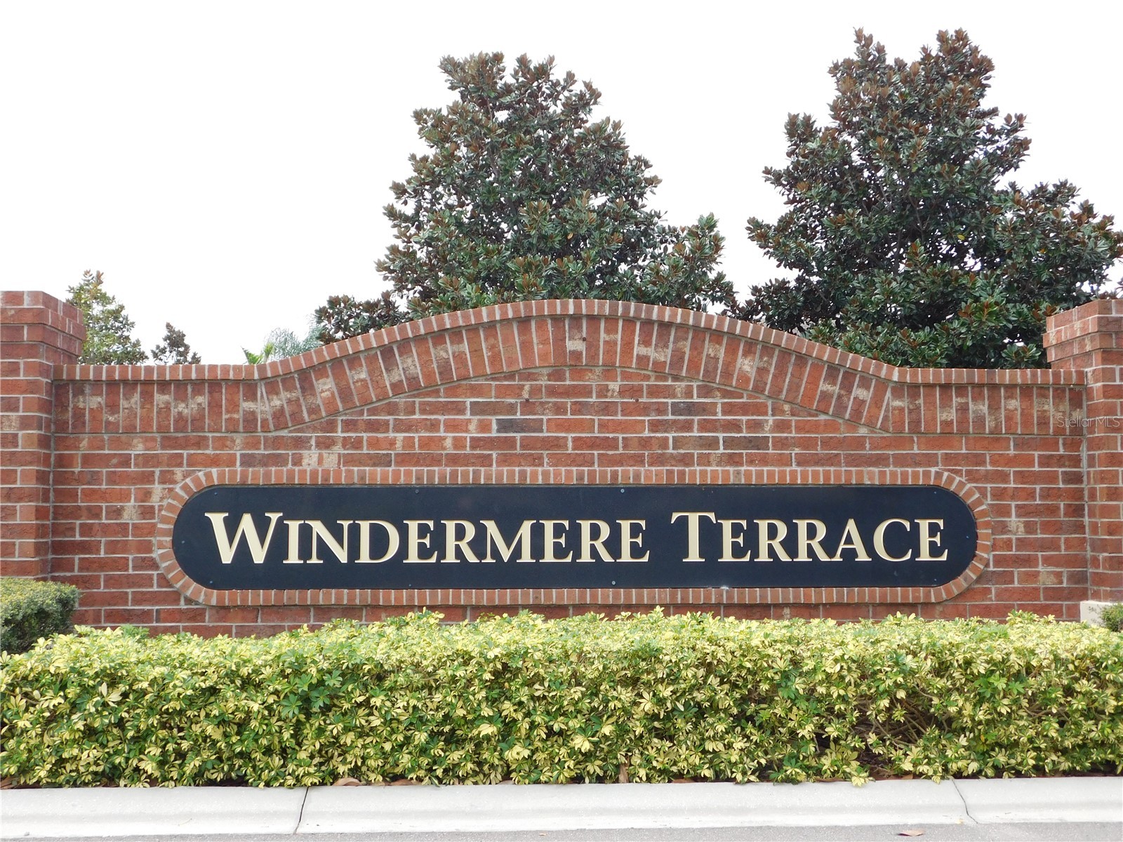 7174 Beek Street Windermere FL 34786 O6402279 image4