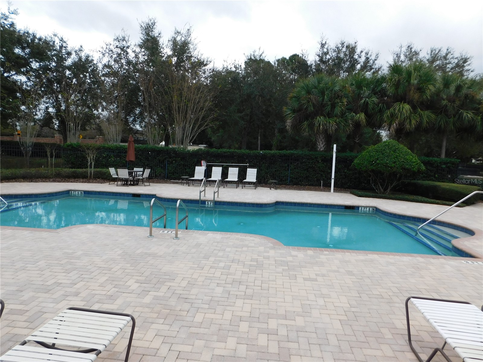 7174 Beek Street Windermere FL 34786 O6402279 image44
