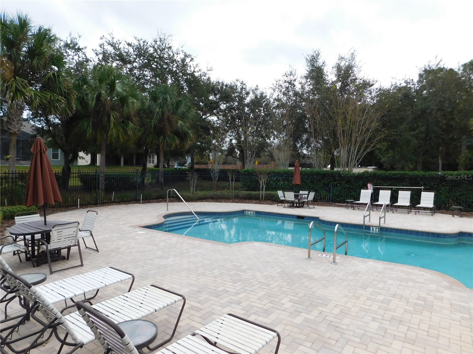 7174 Beek Street Windermere FL 34786 O6402279 image46
