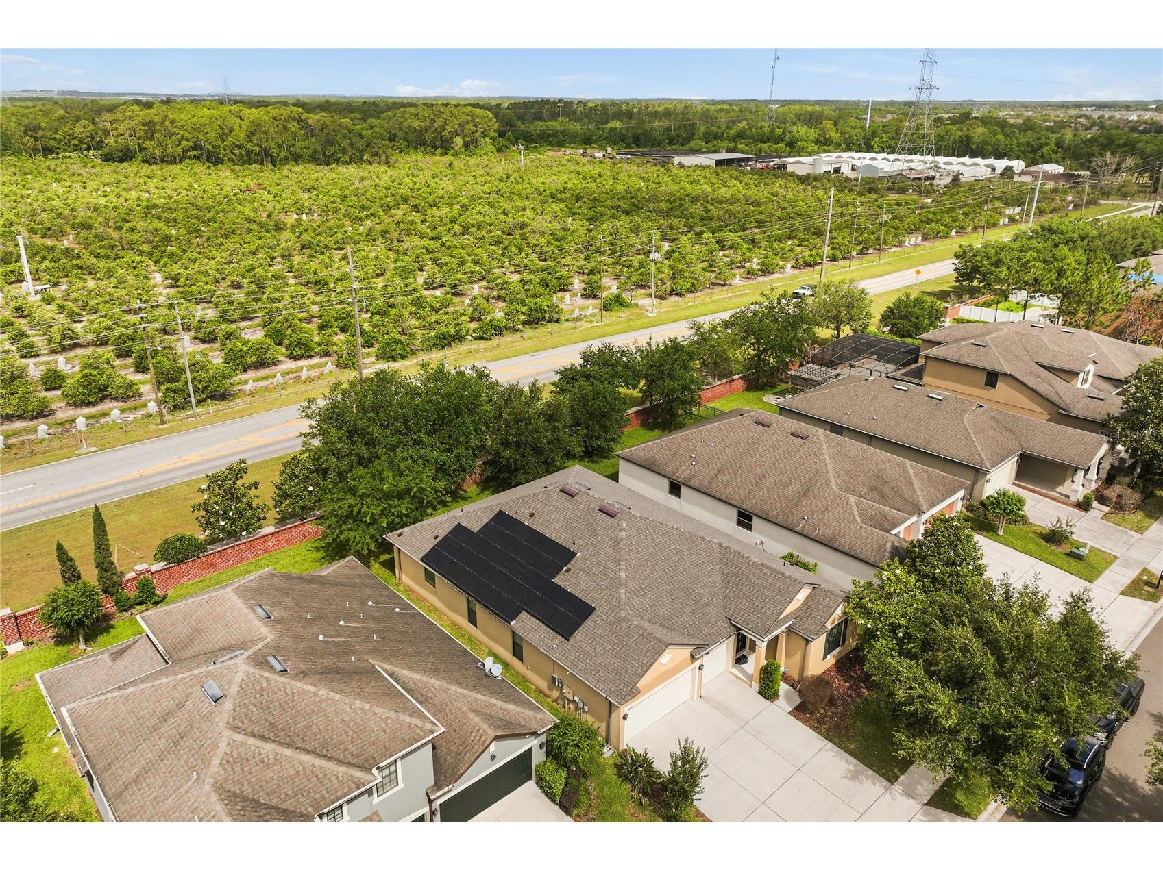 7174 Beek Street Windermere FL 34786 O6402279 image6