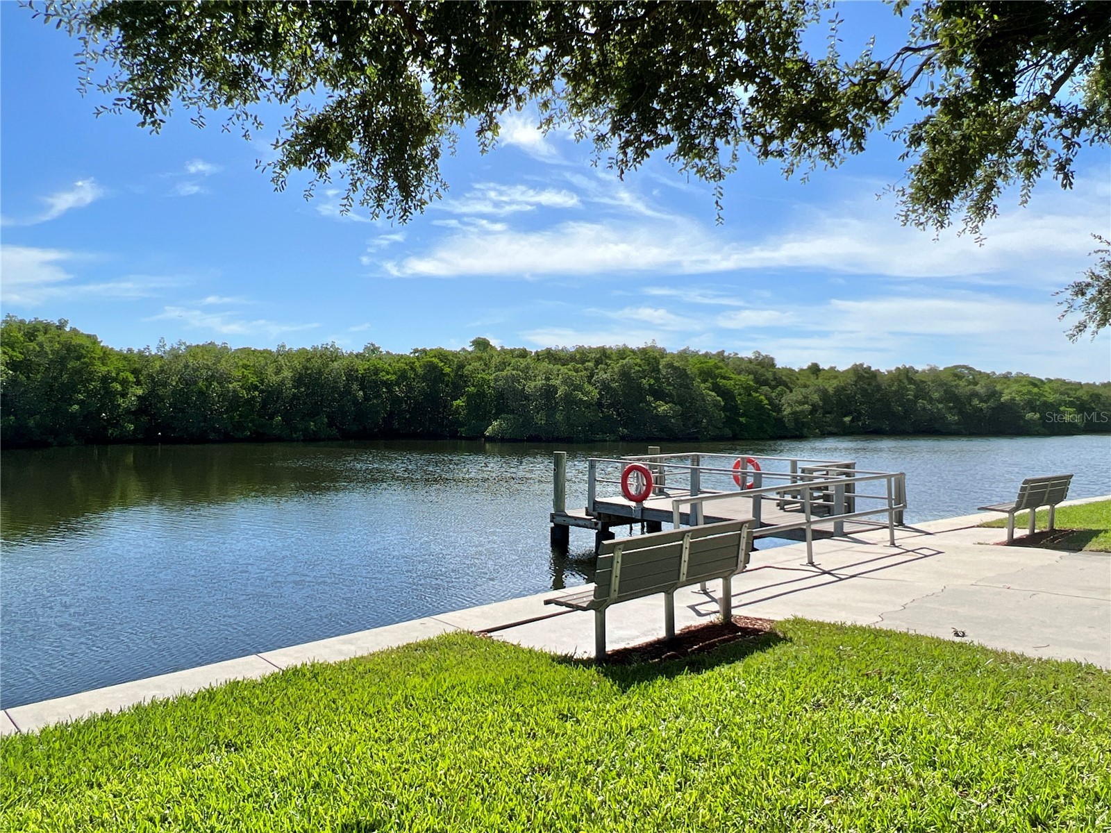 7174 Mount Arlington Drive NE #419 Saint Petersburg FL 33702 - TAMPA BAY TB8514990 image36