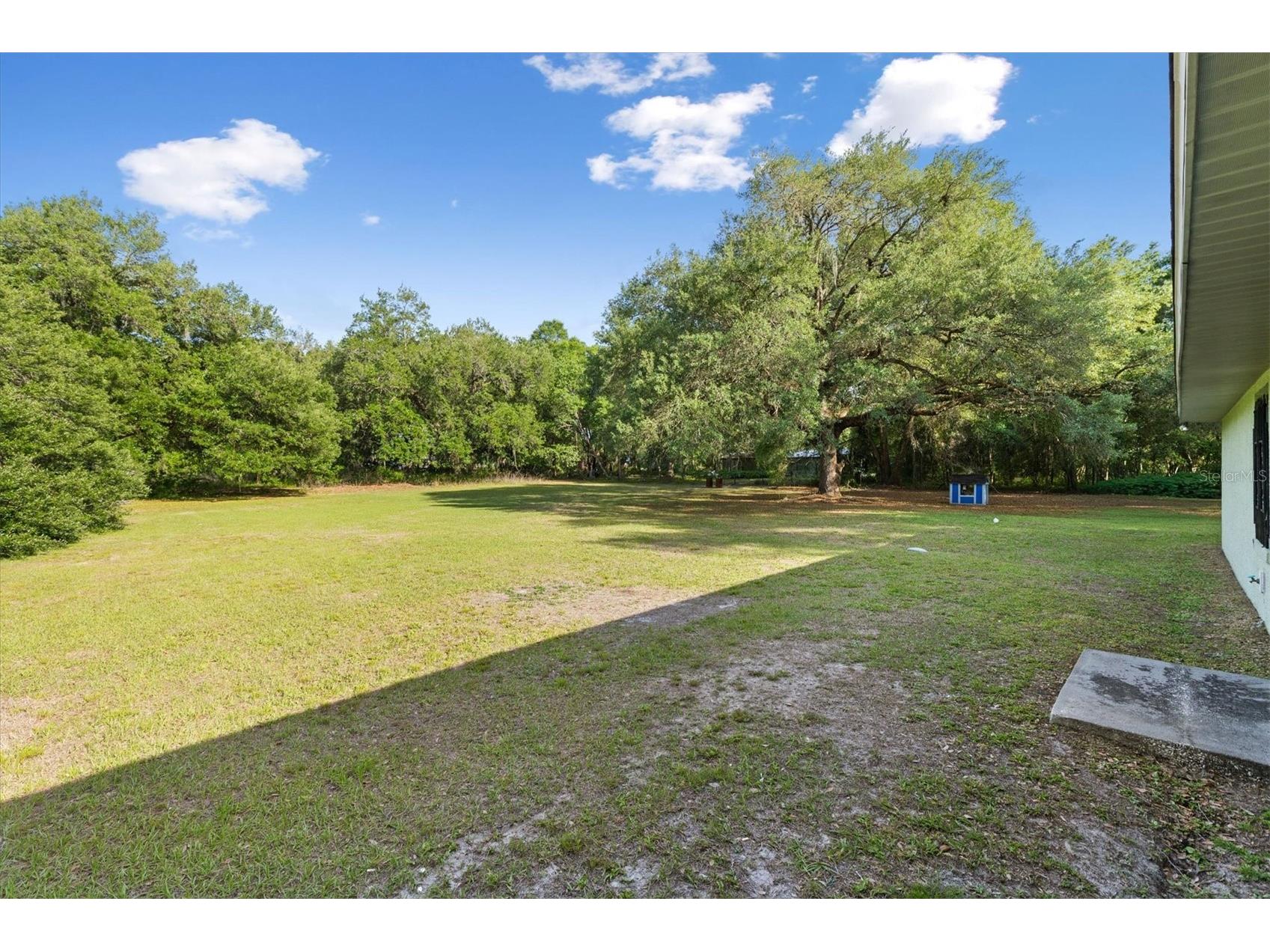 7175 County Road 213 Wildwood FL 34785 G5111101 image29