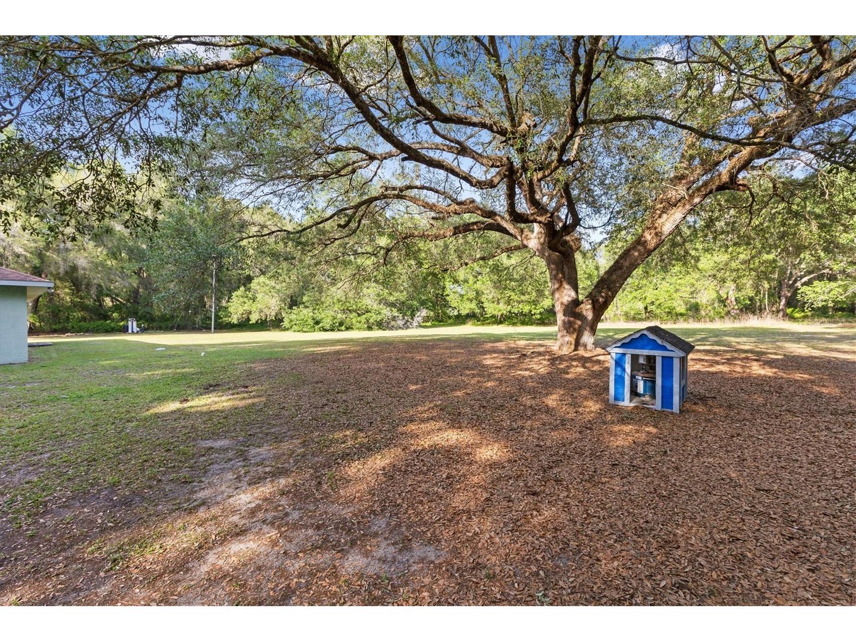 7175 County Road 213 Wildwood FL 34785 G5111101 image31