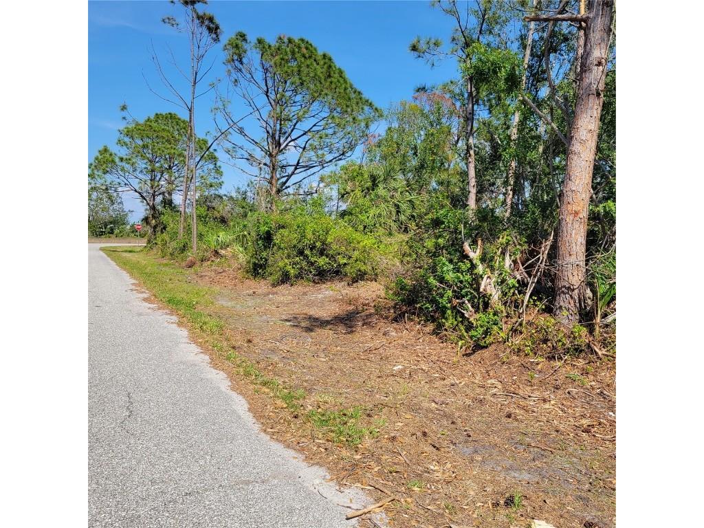 7176 Holsum Street Englewood FL 34224 U8196076 image1