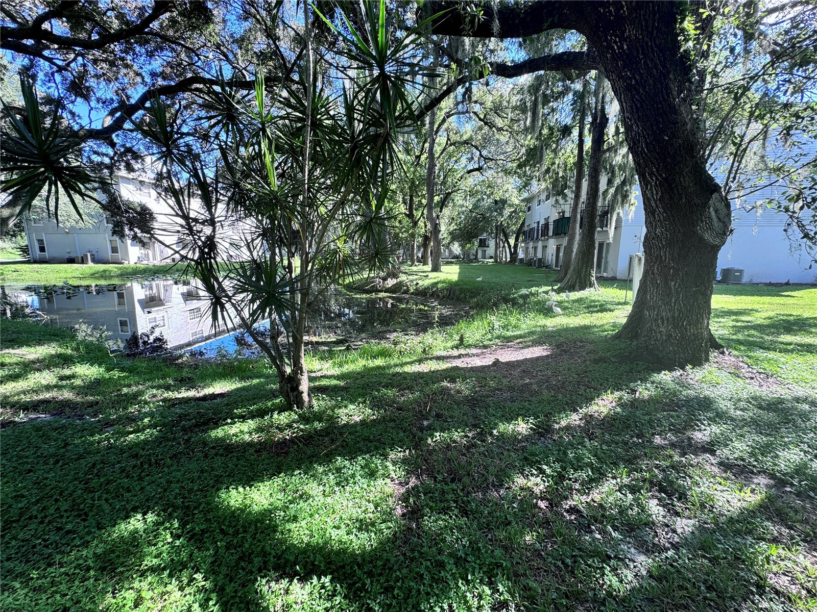 7177 E Bank Drive #102 Tampa FL 33617 O6409487 image5