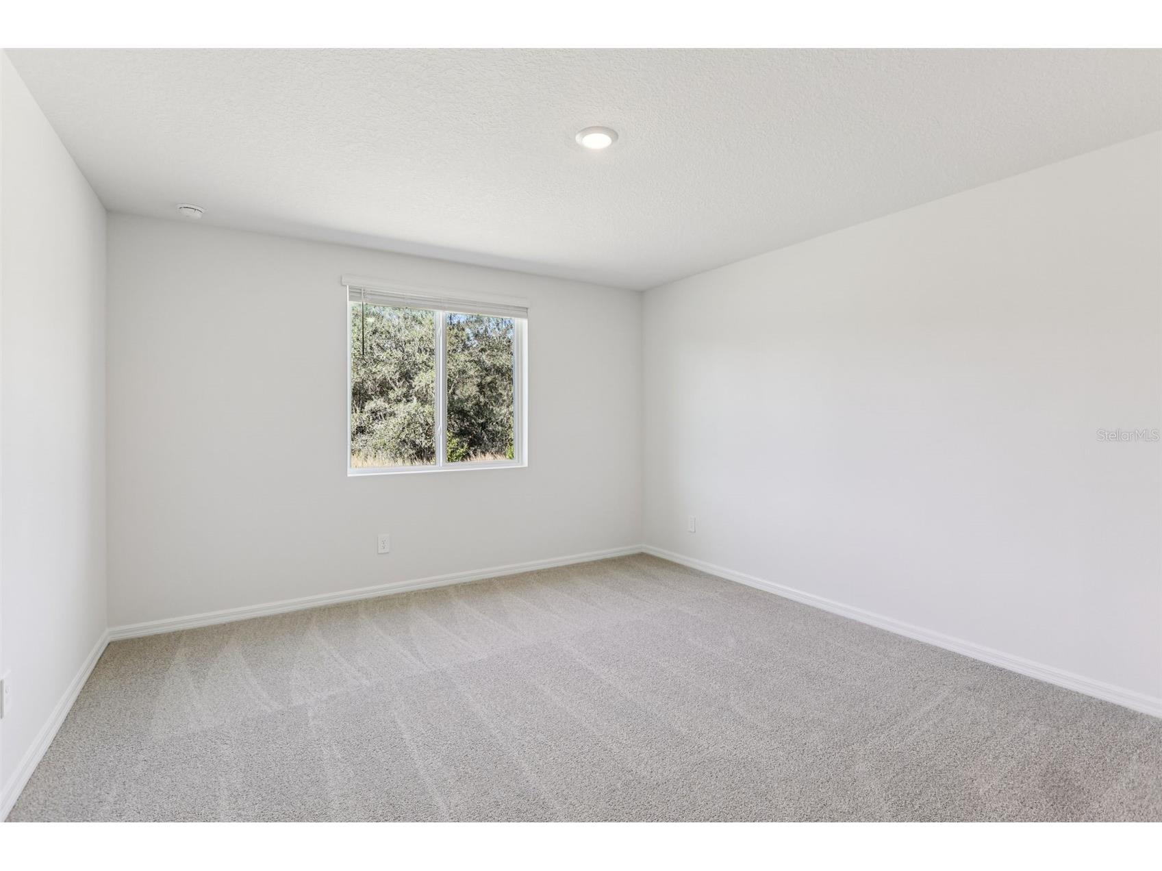 7177 Ray Creek Drive Brooksville FL 34601 O6358480 image27