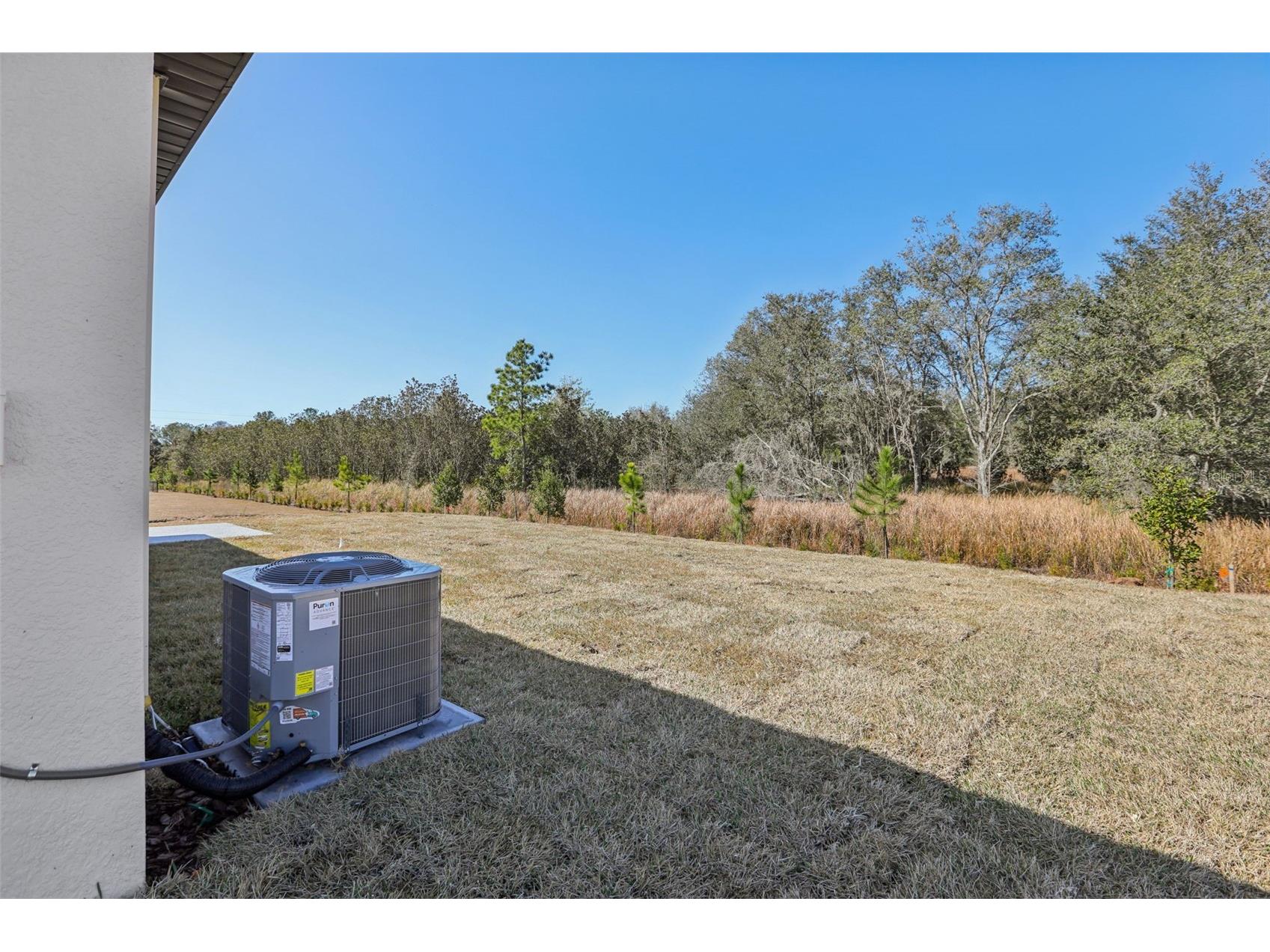 7177 Ray Creek Drive Brooksville FL 34601 O6358480 image37