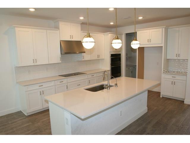 7177 Talamore Drive Wesley Chapel FL 33545 W7884513 image12