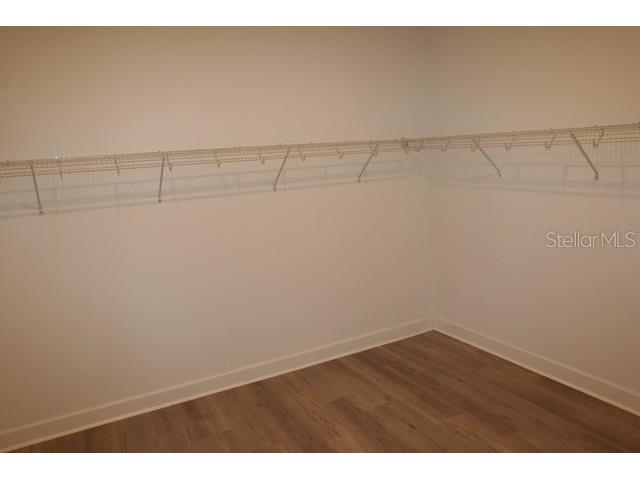 7177 Talamore Drive Wesley Chapel FL 33545 W7884513 image19