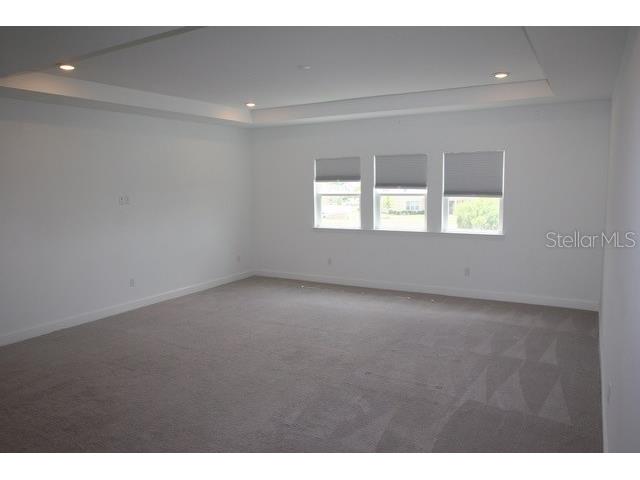 7177 Talamore Drive Wesley Chapel FL 33545 W7884513 image25