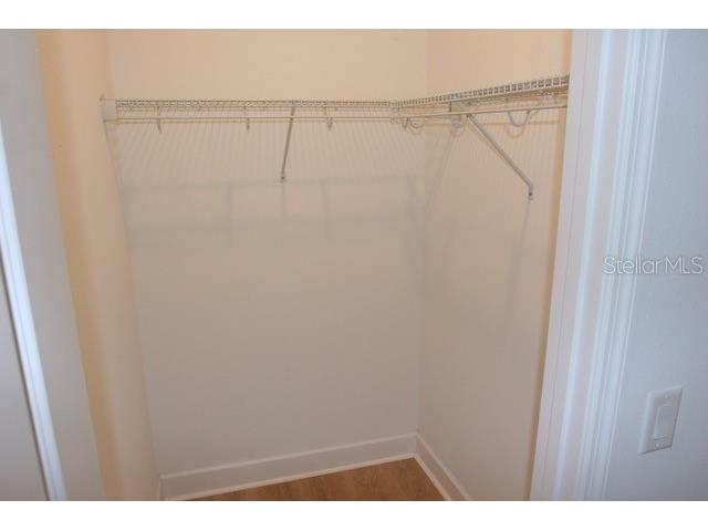 7177 Talamore Drive Wesley Chapel FL 33545 W7884513 image30