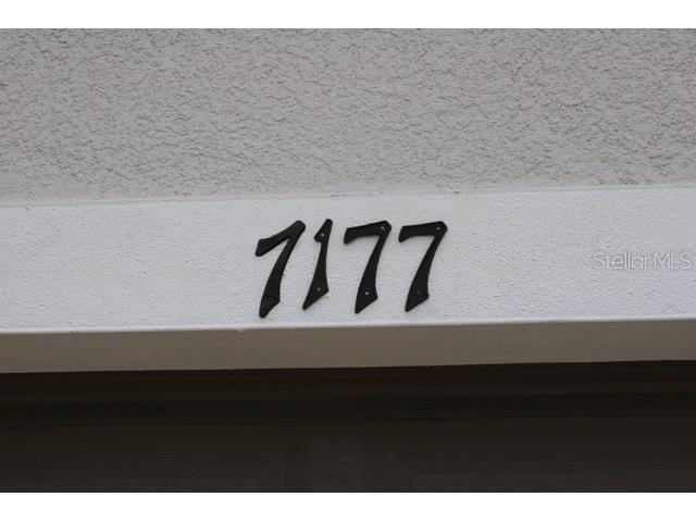 7177 Talamore Drive Wesley Chapel FL 33545 W7884513 image8