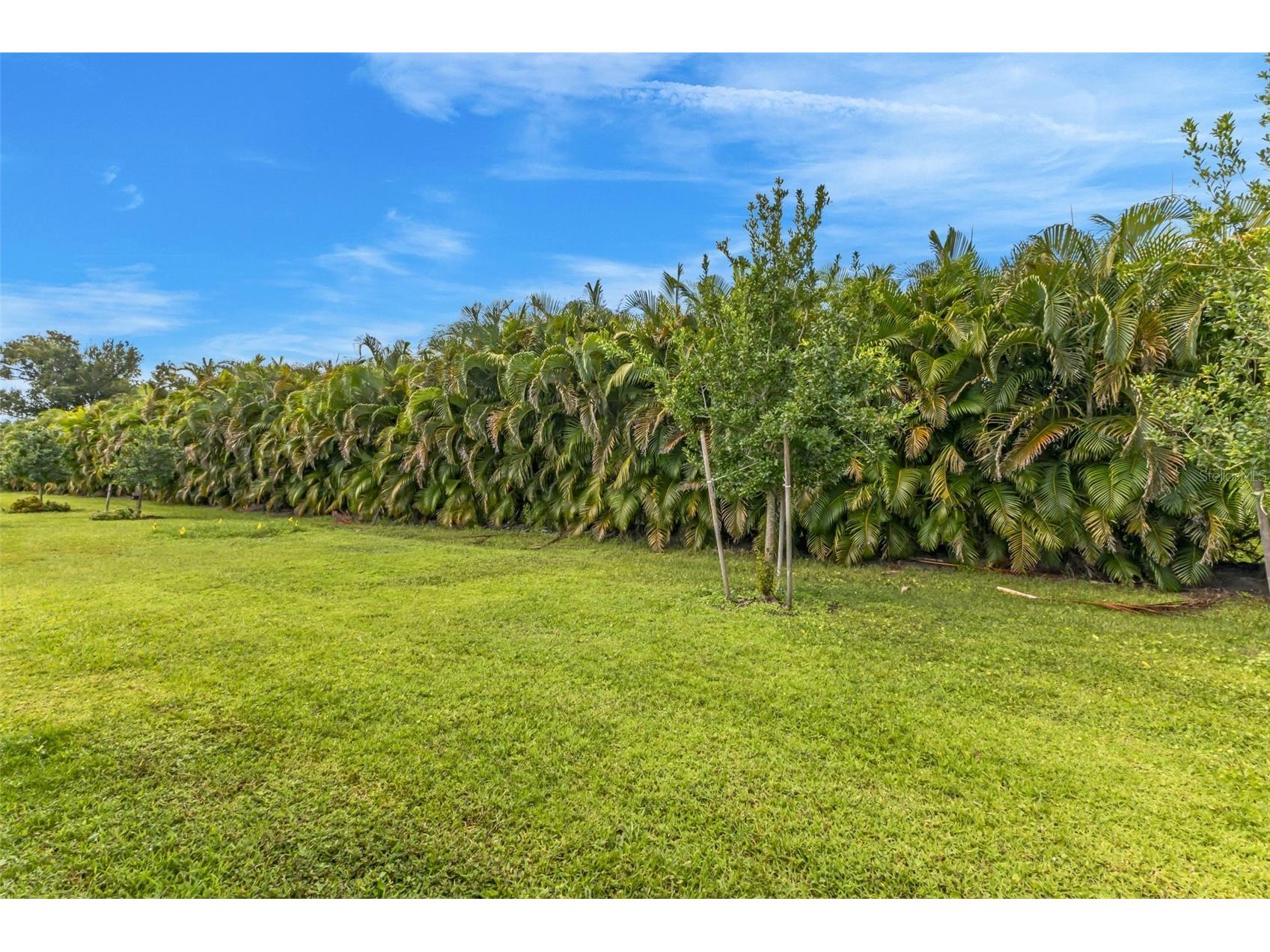 7177 W Lenox Circle Punta Gorda FL 33950 C7526287 image25