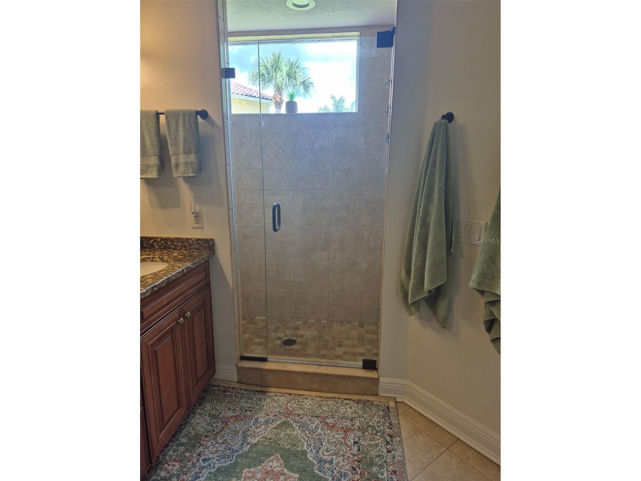 7179 Boca Grove Place #101 Bradenton FL 34202 A4698355 image18