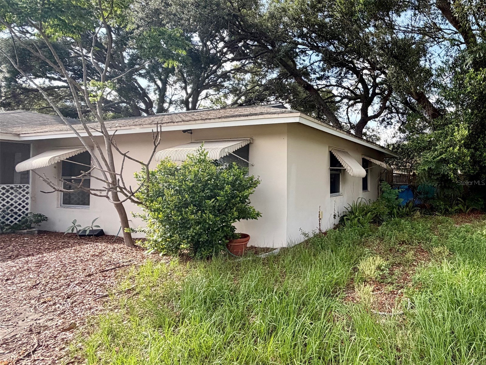 7179 Spring Hill Drive Spring Hill FL 34606 W7886233 image6