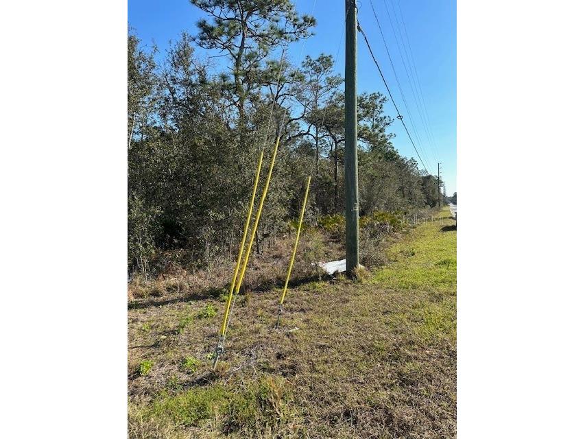 7179 W Merrivale Lane Homosassa FL 34446 U8231591 image3