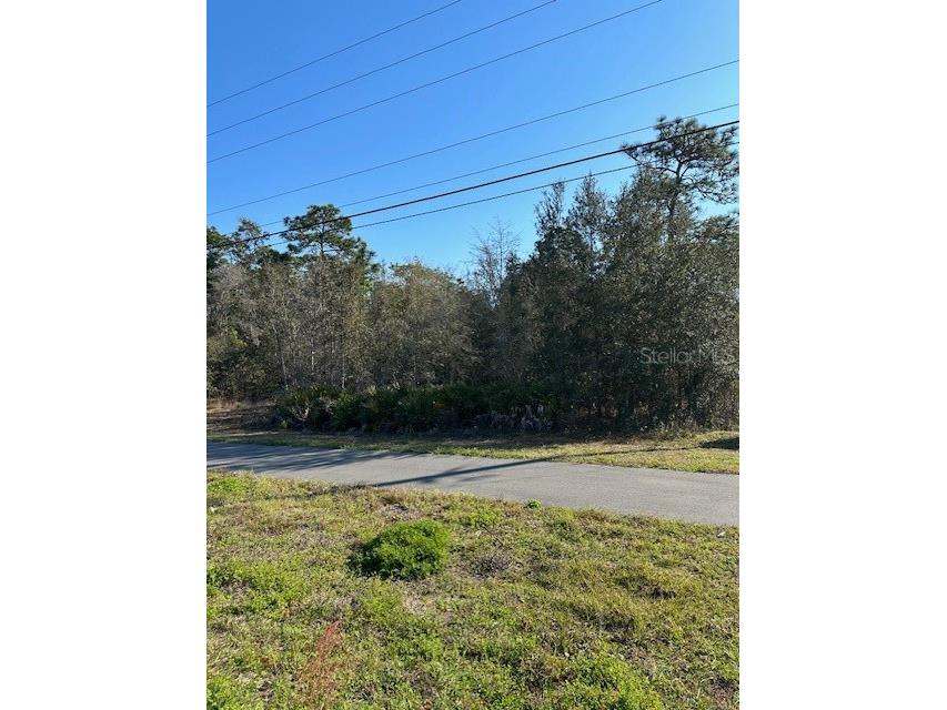 7179 W Merrivale Lane Homosassa FL 34446 U8231591 image4