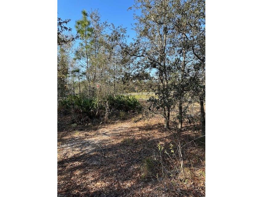 7179 W Merrivale Lane Homosassa FL 34446 U8231591 image7