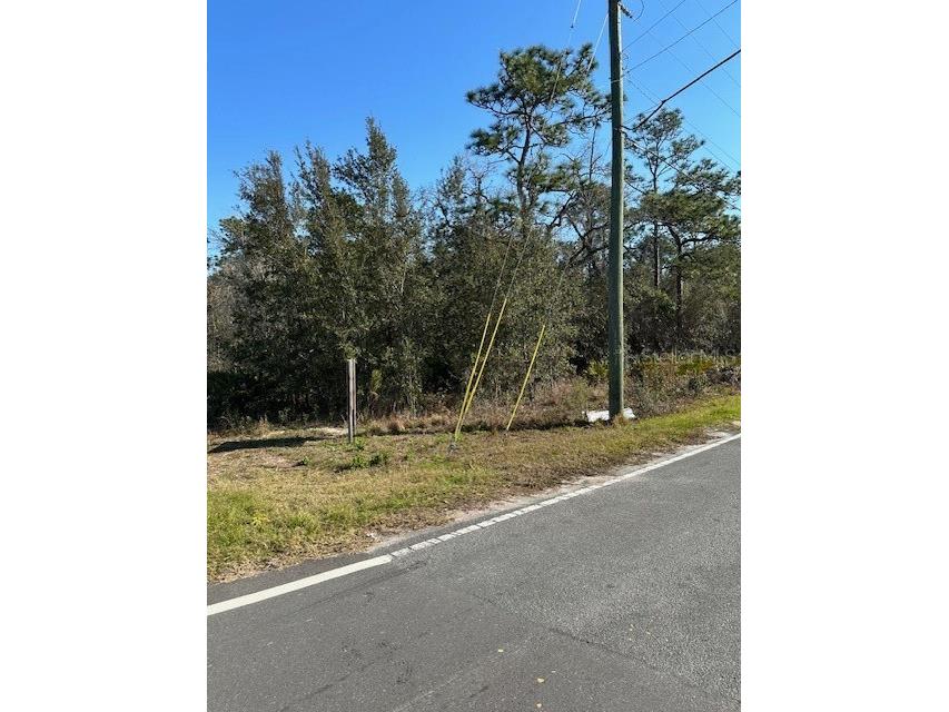 7179 W Merrivale Lane Homosassa FL 34446 U8231591 image8