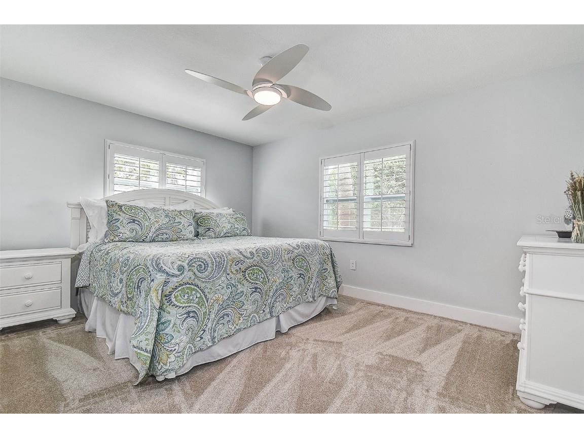 718 Bayshore Drive Tarpon Springs FL 34689 W7881762 image20