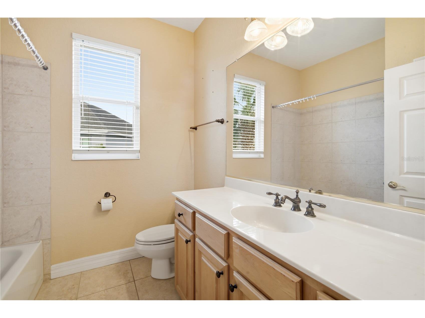 718 Bunker View Drive Apollo Beach FL 33572 TB8505979 image18