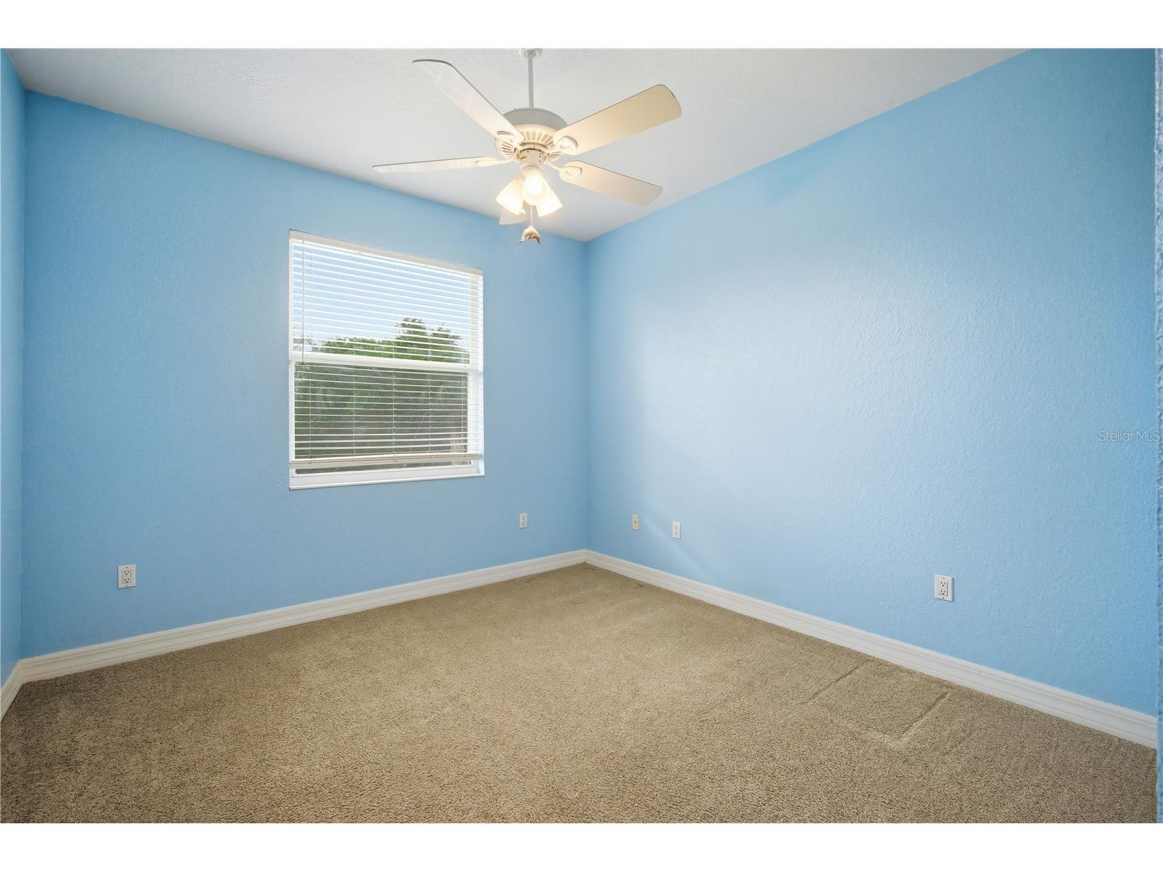 718 Bunker View Drive Apollo Beach FL 33572 TB8505979 image19