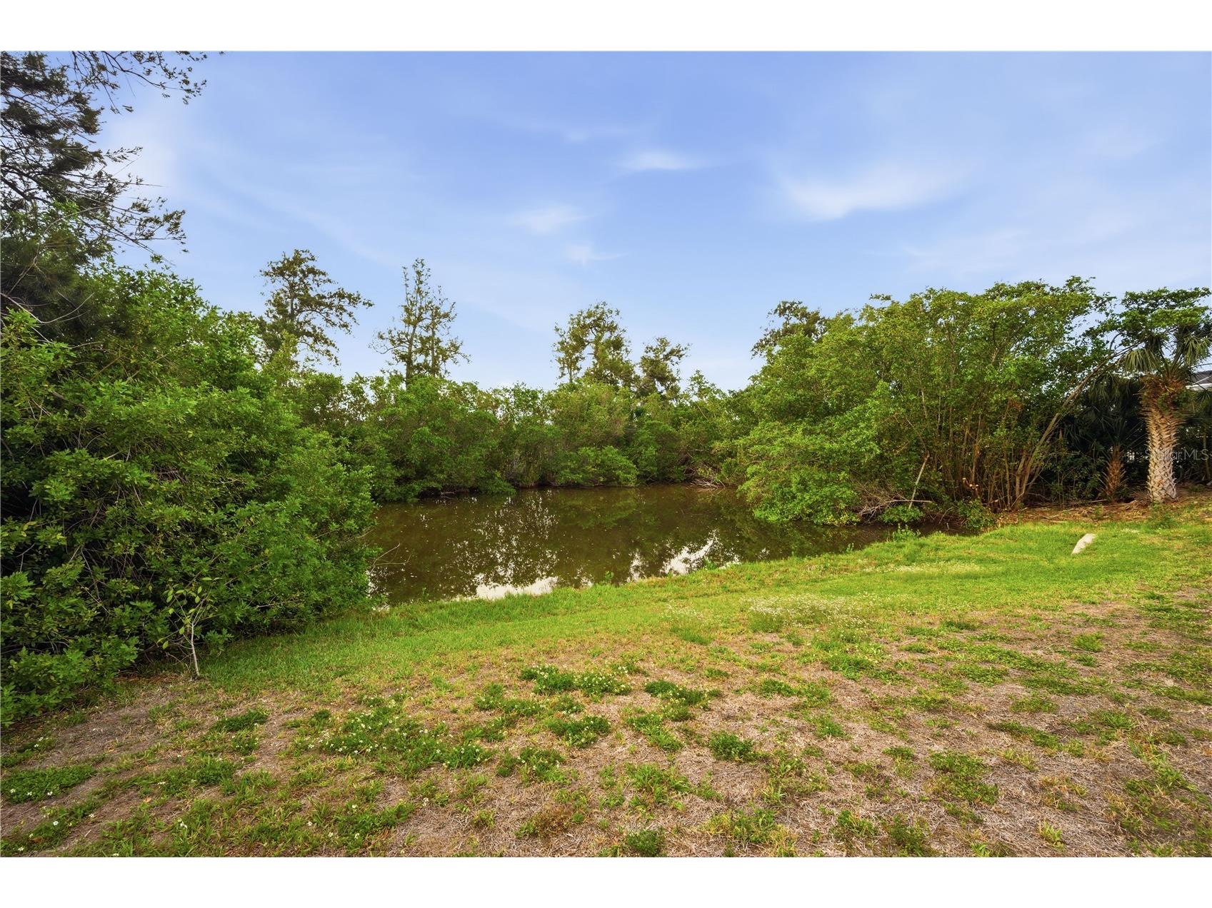 718 Bunker View Drive Apollo Beach FL 33572 TB8505979 image23
