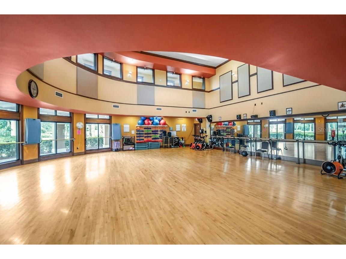 718 Chipper Drive Sun City Center FL 33573 TB8447557 image38