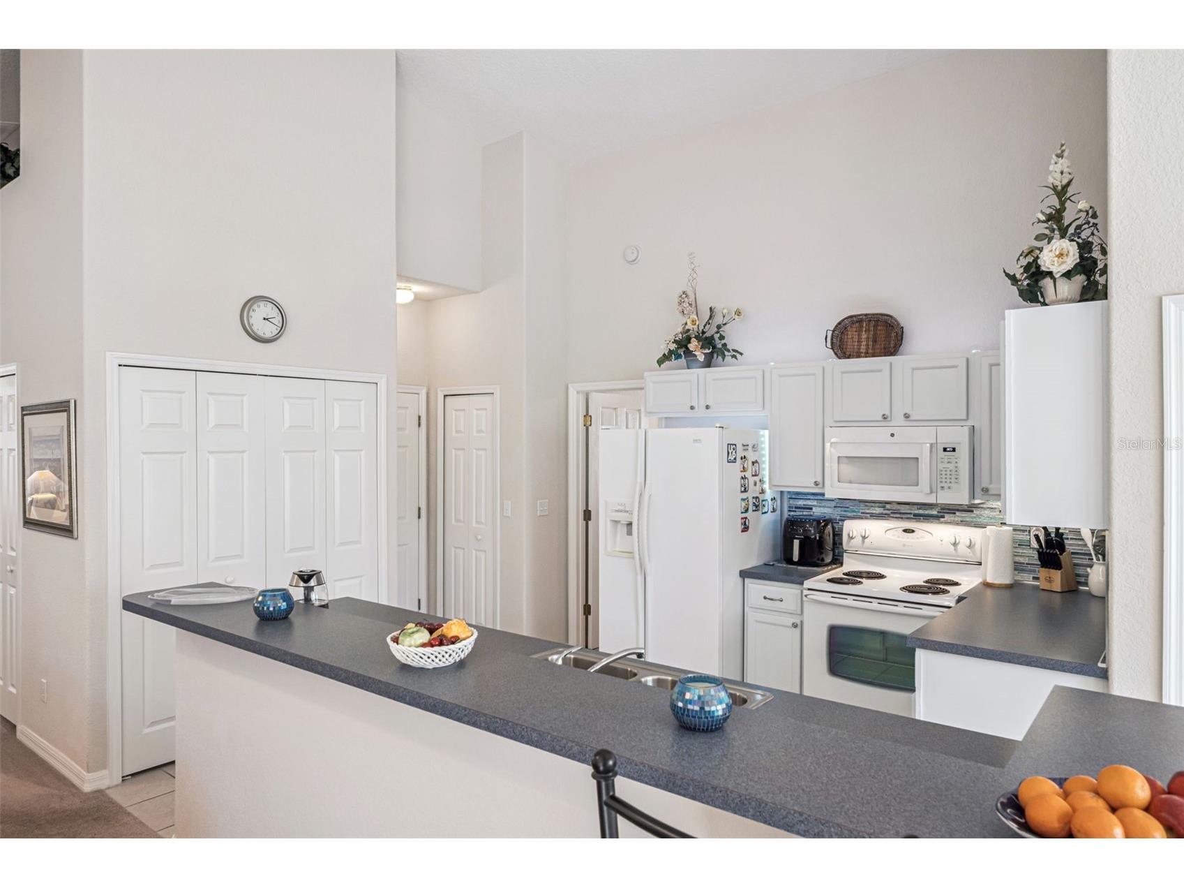 718 Corvina Drive Davenport FL 33897 S5142046 image13