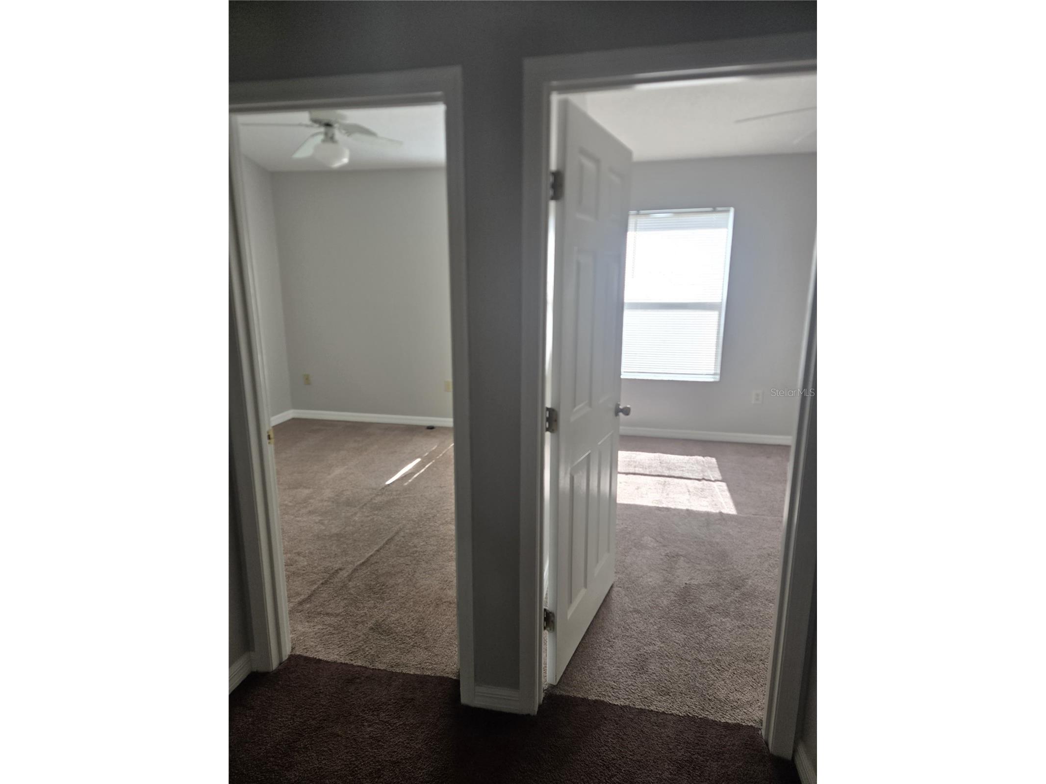 718 Florida Palms Court Kissimmee FL 34741 S5152268 image3