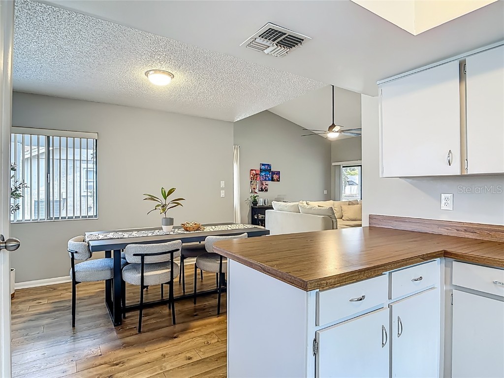 718 Lakeside Drive Winter Springs FL 32708 O6329734 image19