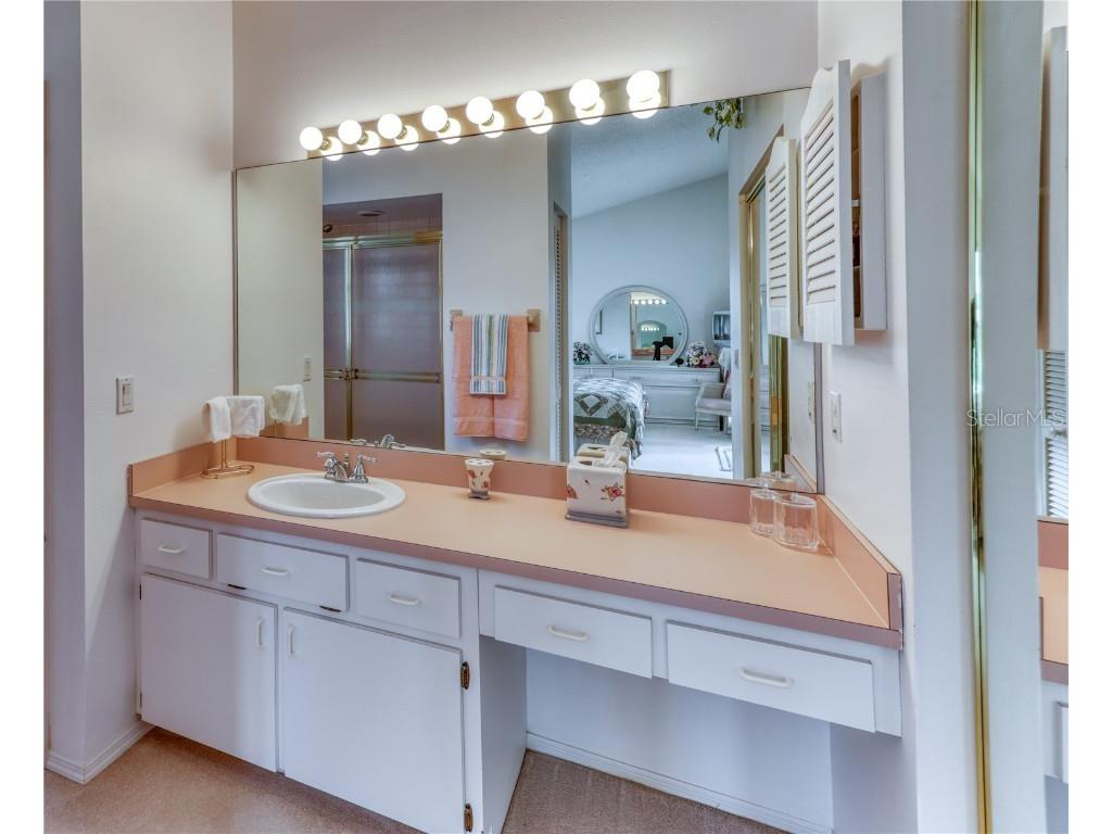 718 Lighthouse Drive Tarpon Springs FL 34689 TB8443798 image21