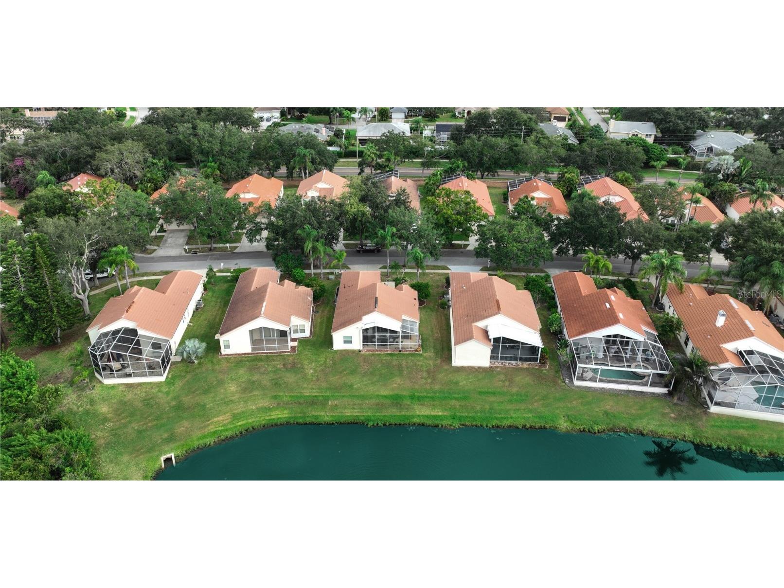 718 Lighthouse Drive Tarpon Springs FL 34689 TB8443798 image29