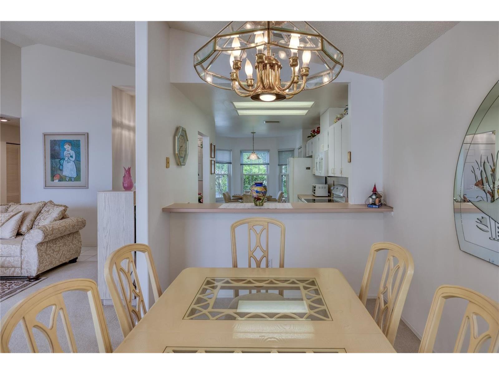 718 Lighthouse Drive Tarpon Springs FL 34689 TB8491702 image13