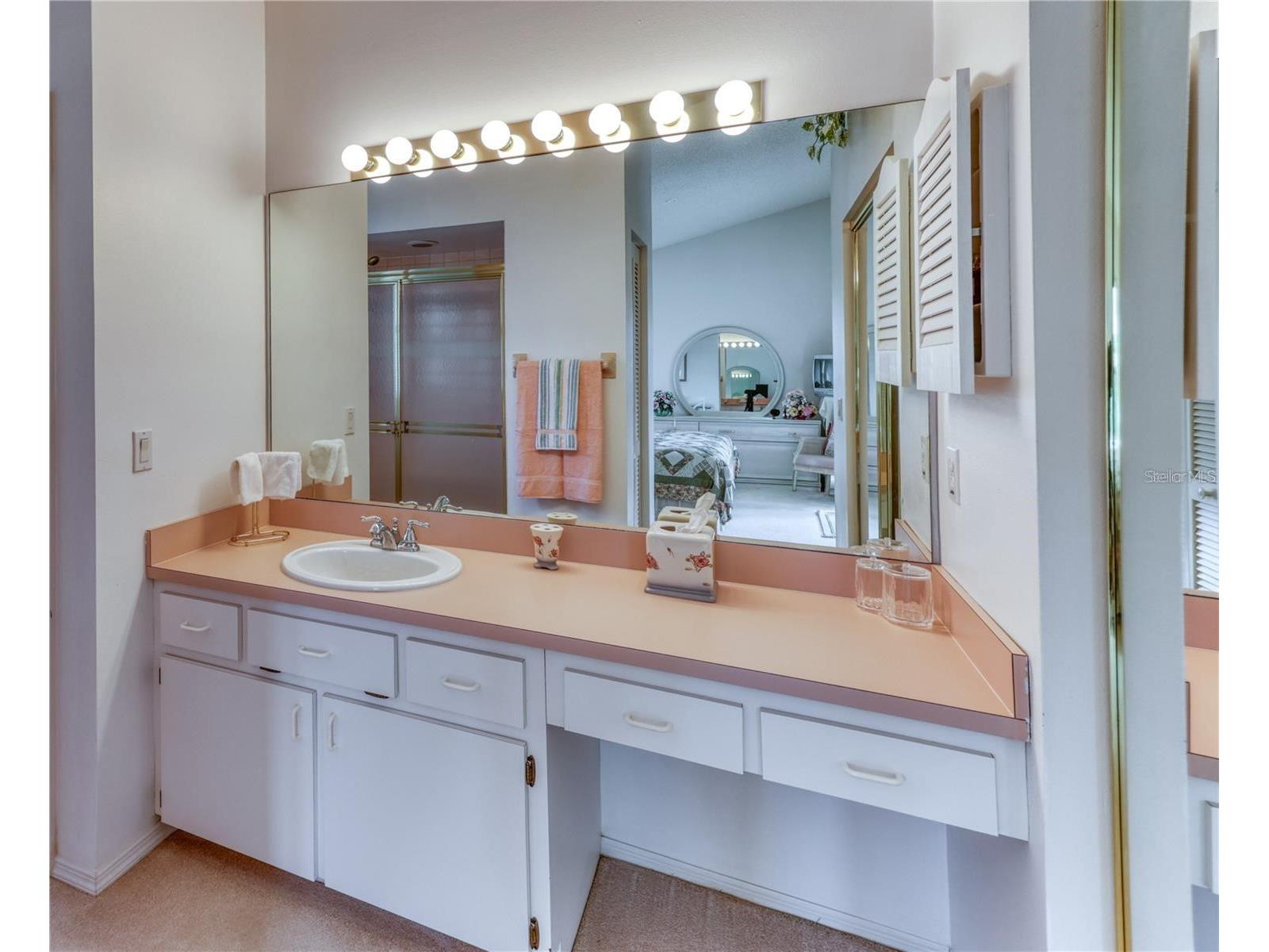 718 Lighthouse Drive Tarpon Springs FL 34689 TB8491702 image21