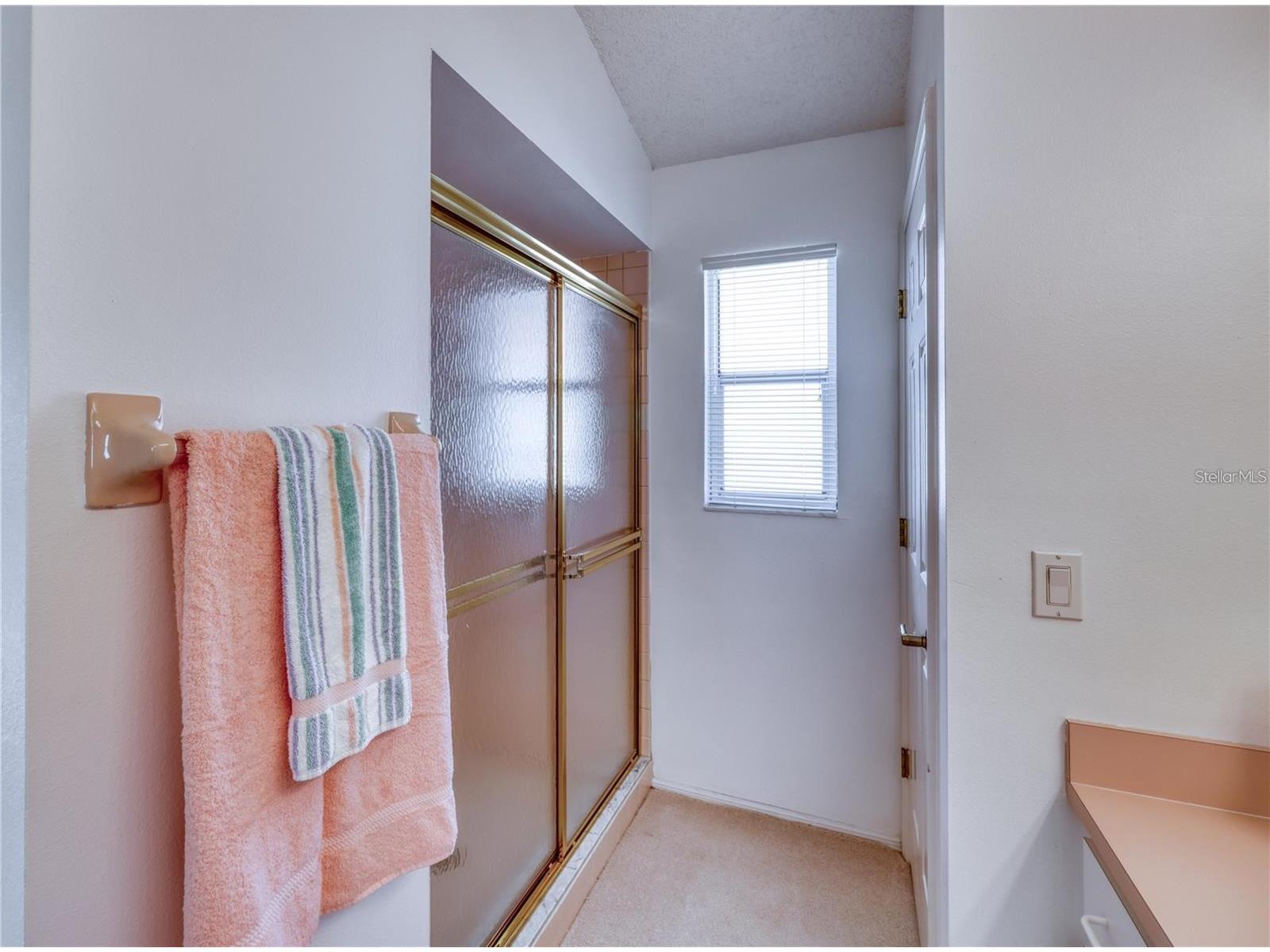 718 Lighthouse Drive Tarpon Springs FL 34689 TB8491702 image22